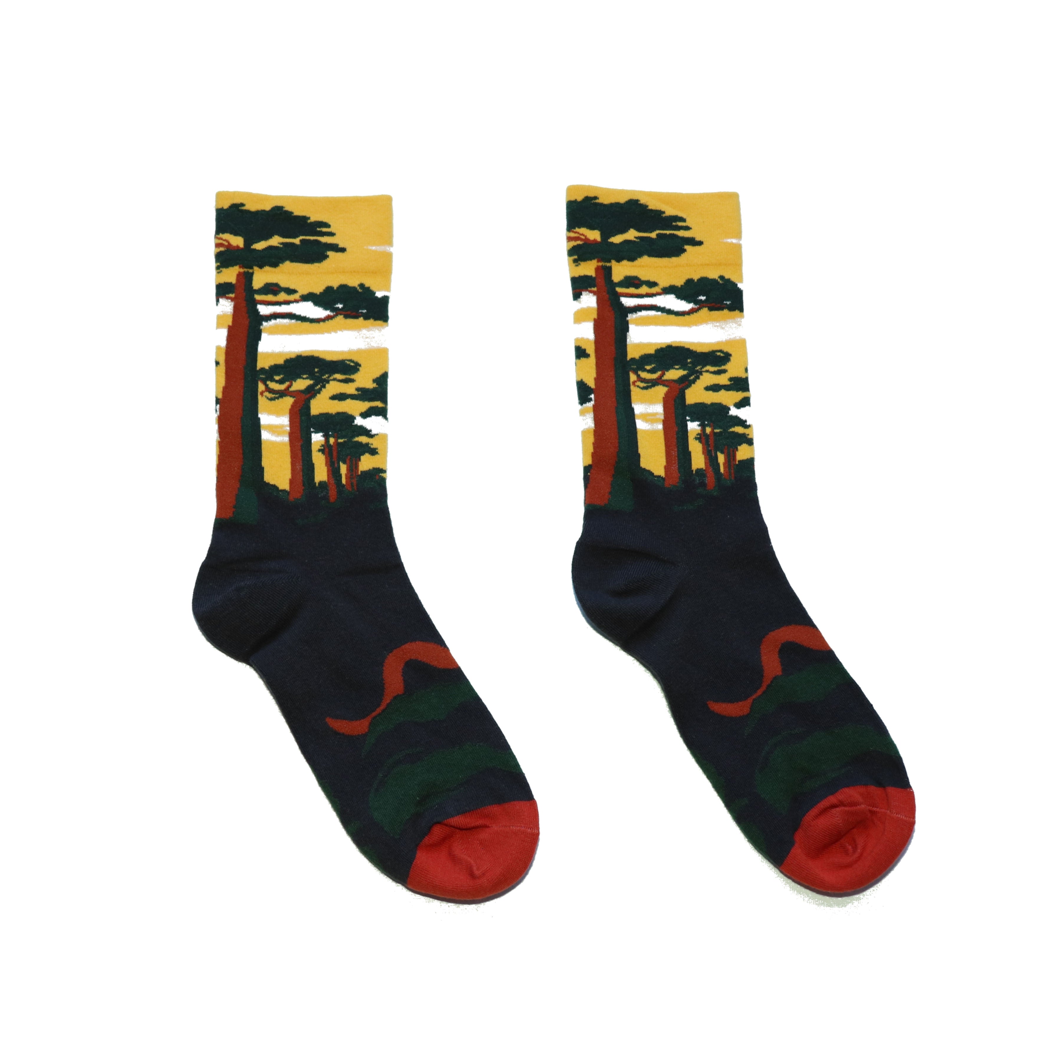 Sunlit Forest socks