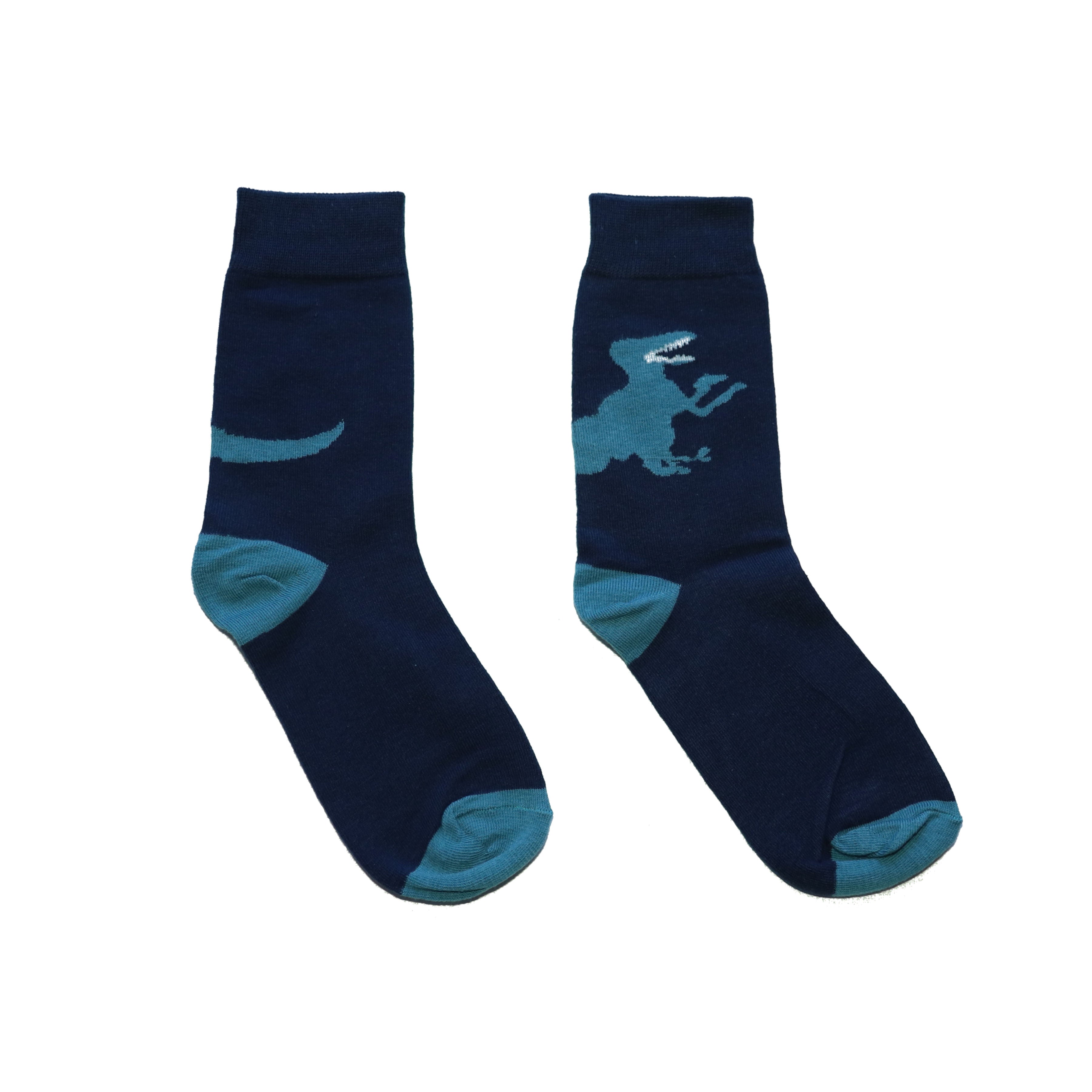 Jurassic Blue Socks